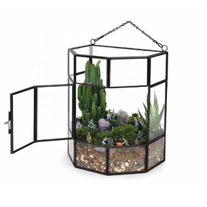 Terrario de plantas de vidrio geométrico de Venta caliente con tapa Terrario de vidrio suculento Terrario de casa verde para la decoración del jardín del hogar - Product Image 2