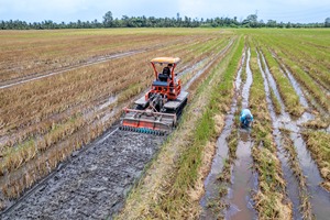 OFERTA ESPECIAL: Tractor Agrícola HOGICO HG80VN Turbo de 80HP con Caja de Cambios, Motor Diésel de Alta Eficiencia - Product Image 5