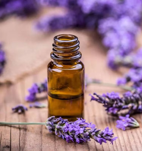 Wholesale Lavender <b>Oil</b> Pure & Natural Lavender <b>Essential</b> <b>Oil</b> for Relaxation Stress Relief & Better Sleep Support from India - Product Image 4