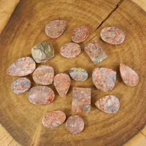 Lote al por mayor de gemas cabujón de hueso de dinosaurio natural rojo de calidad AA con formas mixtas, directamente de fábrica de AU - Product Image 2
