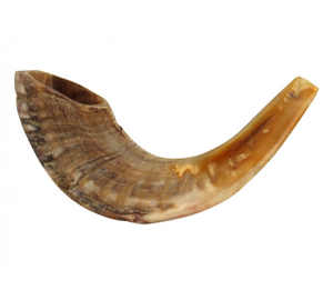 Shofar de Cuerno de Oveja Natural, Instrumento Musical - Cuerno Pulido Hecho a Mano con Estilo Animal, Duradero, de la India - Product Image 2