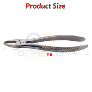Prix de gros – Meilleures ventes : Forceps d'extraction dentaire manuels en acier inoxydable, fabriqués au Pakistan - Product Image 4