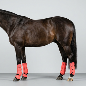 Botas de neopreno para equitación, con absorción de impactos, transpirables, duraderas, equipo de protección para las patas del caballo - Product Image 1