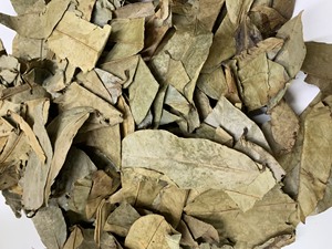 Soursop séché-Feuilles de soursop séchées de qualité supérieure de Nature 2024 - Product Image 5