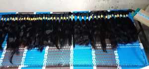 Cheveux Indiens Remy de Qualité Supérieure en Gros, Grade Unique, Écologiques, Provenant d'un Donneur Unique, En Stock - Product Image 3
