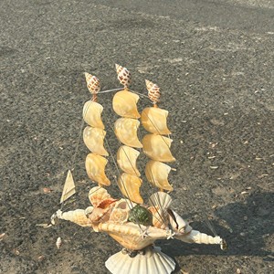 ของตกแต่งเปลือกหอย จัดเรียงเปลือกหอยขัดเงา ของประดับกลางโต๊ะ งานฝีมือเวียดนาม - Product Image 4