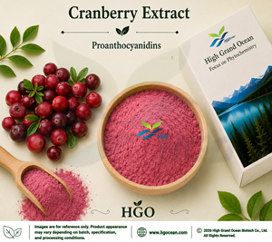 Hgo สารสกัดจากแครนเบอร์รี่ธรรมชาติบริสุทธิ์ (เกรดอาหาร) proanthocyanidins 30% - 50% (สารสกัดมาตรฐาน) - Product Image 1