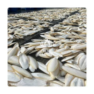 Os de seiche en vrac, excellent rapport qualité-prix, pour l'élevage d'escargots aquatiques et la mastication des oiseaux - Product Image 1