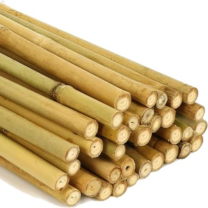 Whole Split Vietnam Treated Natural Bamboo Raw Materials <b>for</b> Construction and <b>Gardening</b> Bamboo <b>Poles</b> Stakes - Product Image 1