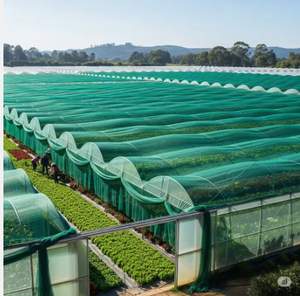 Service de découpe de filet plastique agricole tricoté pour serre, couleur verte, fabriqué en Inde - Product Image 3