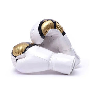 Gants de boxe unisexes de style professionnel 2026 de haute qualité en cuir synthétique respirant pour l'entraînement en extérieur - Product Image 1
