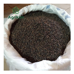 Poivre noir de haute qualité en vrac 500 MC 5 MM Épices et herbes simples Prix compétitif en gros Contactez Mme Doris +84 352 542 206 - Product Image 5