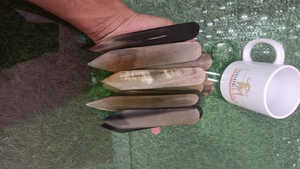 Carpeta de cuerno de buey de la mejor calidad para artesanía en cuero y papel para Amazon Herramienta más vendida con estilo animal pulido - Product Image 3