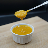 Fabrieksmatig geproduceerd 100% natuurlijk vers Desi Mango Puree Nieuwe Aanvoer Fruitpulp Hunza Citruspulp Aseptische Verpakking Op Maat Diepvriesopslag