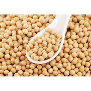 High Quality Premium Natural and Non- GMO Yellow <b>Soybean</b> Seeds - Product Image 2