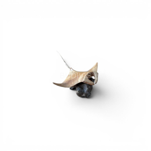 Mini figurine de raie sculptée à la main en bois, base en bois flotté naturel, accent décoratif pour la faune marine, décoration de maison de style côtier, cadeau de pendaison de crémaillère - Product Image 1