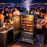 Barbecue hybride gaz-charbon en acier inoxydable pour extérieur, équipement de restauration