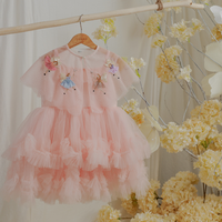 2025 o-cou scintillant robe pour filles princesse perles broderie Tulle robe Vietnam fabrication ODM enfant Boutique de Rosie
