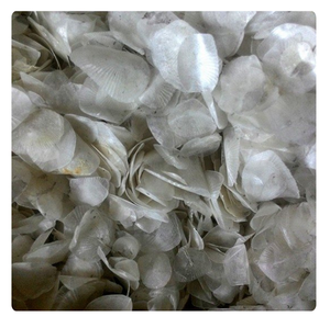 Écailles de poisson tilapia pour collagène, écailles de poisson crues séchées, prix bas - Product Image 3