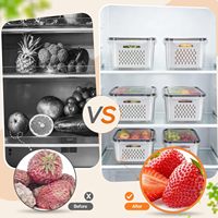 Draagbare grote capaciteit PP materiaal lekbestendige verwijderbare vergiet koelkast fruit groente opbergcontainers opbergdozen bakken