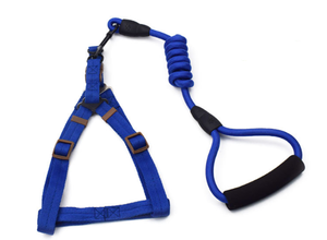 Calming kerah bercahaya pegangan ganda tali kepala sublimasi tali anjing lembut dicetak nilon dan set untuk anjing besar tidak ada tarik - Product Image 3