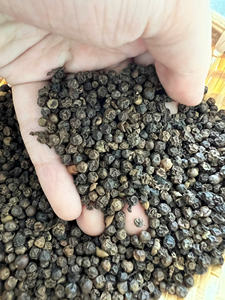 [Keith Vilaconic] พริกไทยดำอบแห้งเกรด AD คุณภาพส่งออกสำหรับอุตสาหกรรมและโซลูชั่นการจัดการสินค้าแบบประหยัด - Product Image 4