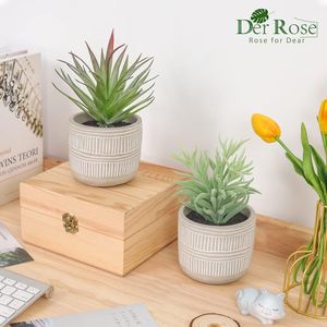 Set di 2 Piante Succulente Artificiali in Vaso Stile Boho per Casa, Stanza, Bagno, Camera da Letto o Ufficio - Product Image 2