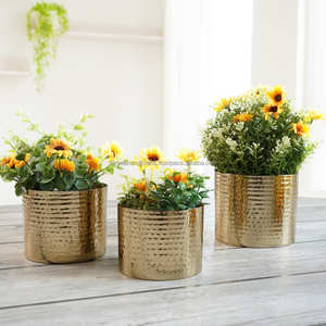 Pot de fleurs rond en métal doré, pour intérieur, table, sol, présentoir de plantes, pots de fleurs avec support - Product Image 3