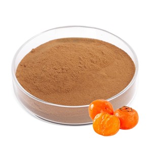 Suministro al por Mayor de Extracto de Fruta de Caqui de Primera Calidad 10:1, Polvo de Diospyros Kaki Puro y Natural al Mejor Precio - Product Image 1