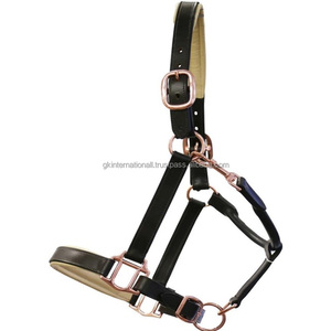 Nouveau design Beau licou de cheval en cuir anglais noir Caractéristiques raccords en or rose avec nez et pièce de tête rembourrés crème - Product Image 4