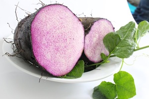 Puré de ñame morado congelado de origen vietnamita para postres dulces - Product Image 5