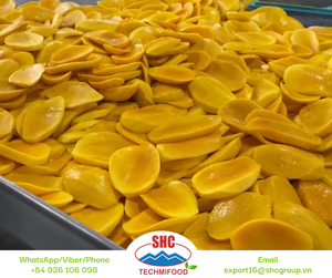 Mango de secado suave natural de Vietnam, bocadillo de larga vida útil, hecho de mangos frescos, adecuado para supermercados y marcas de alimentos - Product Image 5