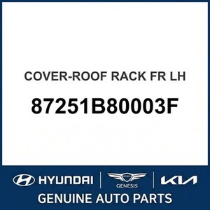 Pièces et accessoires pour voitures et camions Santa Fe, neuves, côté gauche 87251B80003F - Product Image 1