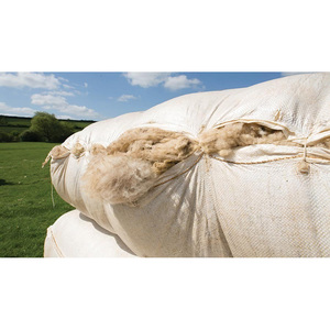 Rembourrage en laine de mouton de 2 oz pour le feutrage à l'aiguille et les travaux manuels - Product Image 1