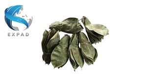 Raw Dried Soursop Whole Leaves Premium Graviola Natural Guanabana Herbal Health <b>Tea</b> Drinks Factory Price - Product Image 1
