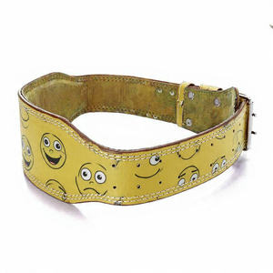 Cinturón de Soporte Lumbar para Levantamiento de Pesas, Cinturón de Entrenamiento con Diseño de Anime, Cinturón de Levantamiento Unisex - Product Image 3