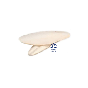 NEW Natural <b>Fish</b> Meal Eco-Friendly Round Bird <b>Toys</b> for Bird Cage Pet Accessories Wholesale Distribution and Export - Product Image 1