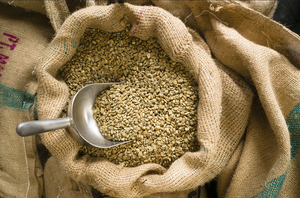 Wholesale Vietnam Organic Robusta Green Coffee <b>Beans</b> Size 18 AA+ Grade ISO 22000 Certified TNFOOD Brand 1000kg Bags Direct - Product Image 6