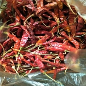 Piment rouge séché 100 % pur de qualité supérieure, entier, séché à l'air (AD), sans tige, Fittree International Export, épices et herbes en vrac - Product Image 6