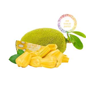 Vietnam Sweet Yellow Jackfruit IQF Seedless Pulps Brix 20% Deep Yellow Color 10kg Carton Packing for Wholesale Order - Product Image 1