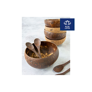 Cuenco de Cáscara de Coco Ecológico, Seguro y Limpio, Ideal para Servir Ensaladas y Guardar Bocadillos, Excelente Relación Calidad-Precio - Product Image 1