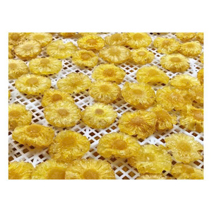 Rodajas de Piña Seca Dulce, Suaves y Masticables, Snack de Fruta Tropical para Venta al por Menor y Distribución al por Mayor - Product Image 3