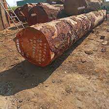 Venta al por Mayor de Troncos de Palisandro Negro de Europa - Product Image 2