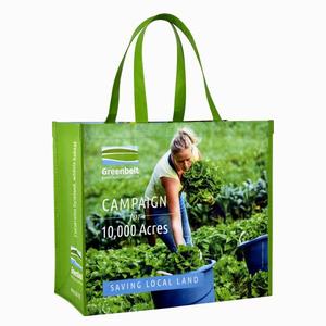 Sac de courses en gros pas cher, en promotion, non tissé, avec fermeture éclair, bandoulière personnalisée, en plastique PP, fonctionnel, en RPET recyclé - Product Image 1
