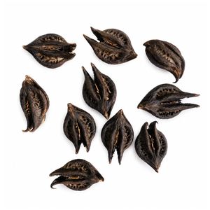 AQUA VRIKSHA Garra de Tigre Seca Natural para Acuarios, Peceras de Betta, Peceras de Camarones y Acuapaisajismo |   Paquete de 24 - Product Image 3
