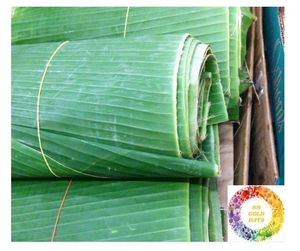 Hojas de Plátano Congeladas de Calidad Consistente, Suministro para Pedidos al por Mayor, Hojas Naturales de Alta Calidad, Hoja de Plátano Congelada de Vietnam, Proceso de Limpieza - Product Image 2