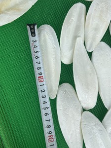 Prix de gros Os de seiche séché / Os de calmar séché du Vietnam / Mme Lima - Product Image 5