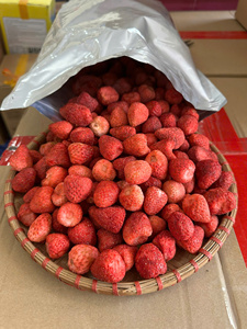 Fraises lyophilisées de qualité supérieure, matière première pour les boissons, exportateur du Vietnam, emballage personnalisé - Product Image 6