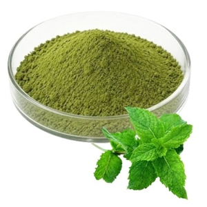 OEM/ODM Polvo de Hoja de Menta 100% Puro y Natural, Polvo de Hojas de Menta Secas 100% Puro, Polvo de Menta Molido Fino de Primera Calidad - Product Image 2