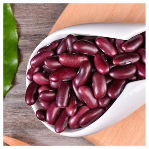 Fournisseur en gros de haricots rouges de qualité supérieure, exportateur de haricots secs naturels pour les acheteurs internationaux et l'industrie alimentaire - Product Image 1